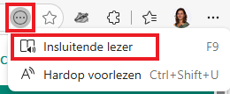 Insluitende lezer